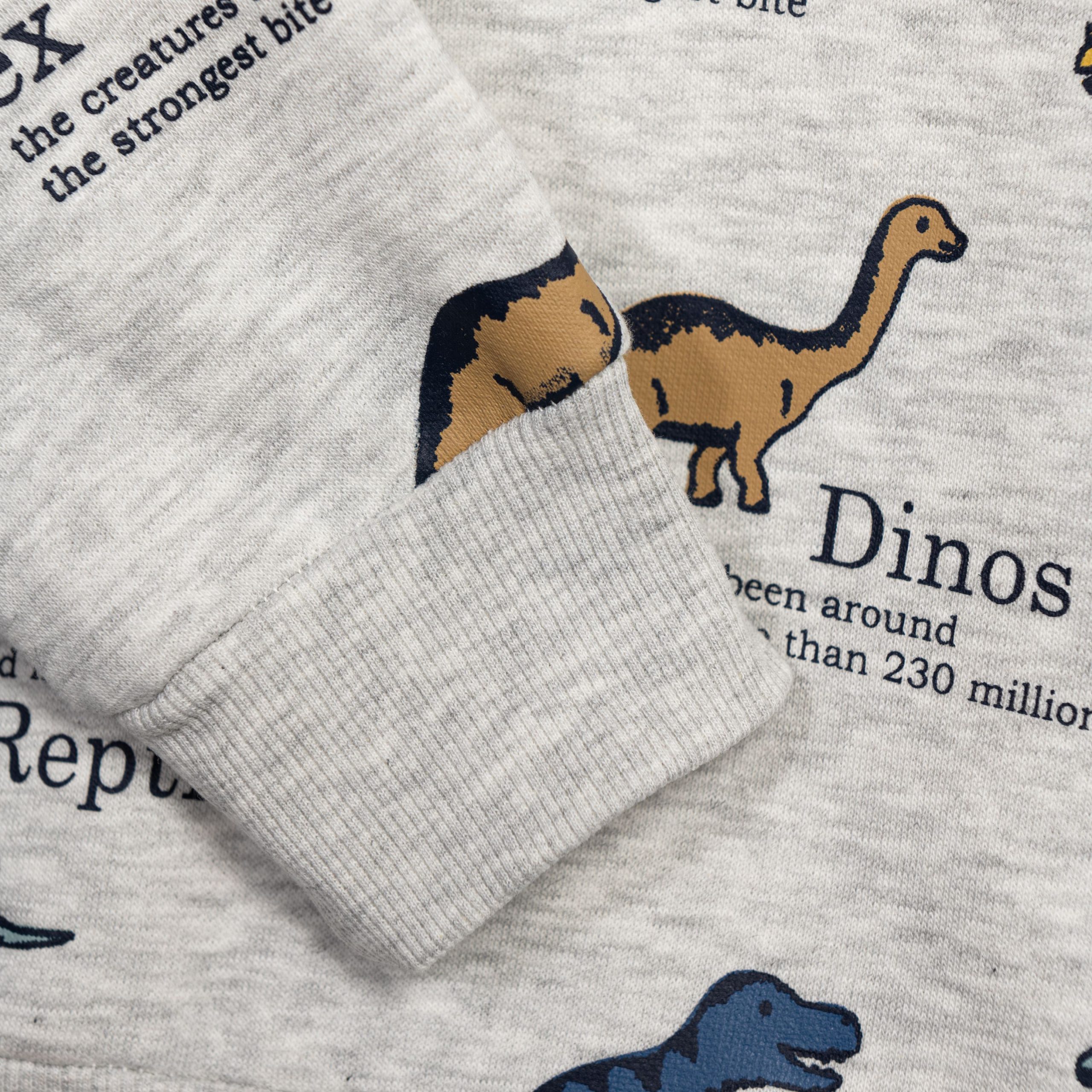 Μπλουζα φούτερ αγόρι - Image 3